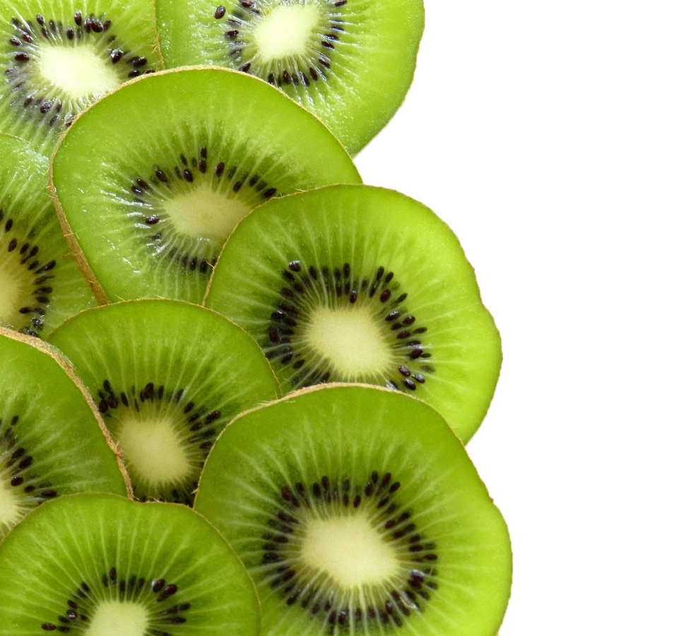 의미 없는 키위